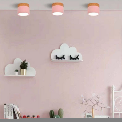 Morandi-inspired Modern LED Ceiling Lamp