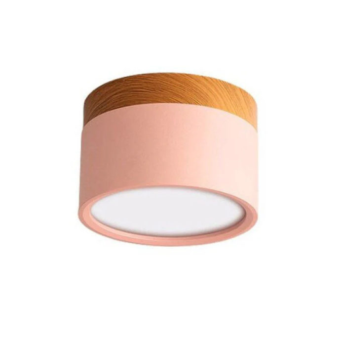 Morandi-inspired Modern LED Ceiling Lamp