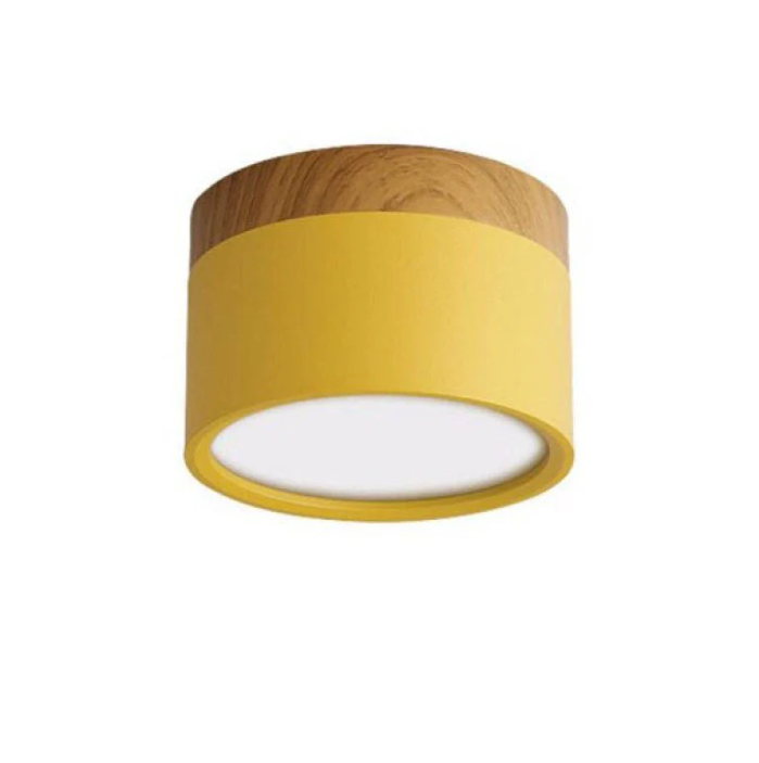 Morandi-inspired Modern LED Ceiling Lamp
