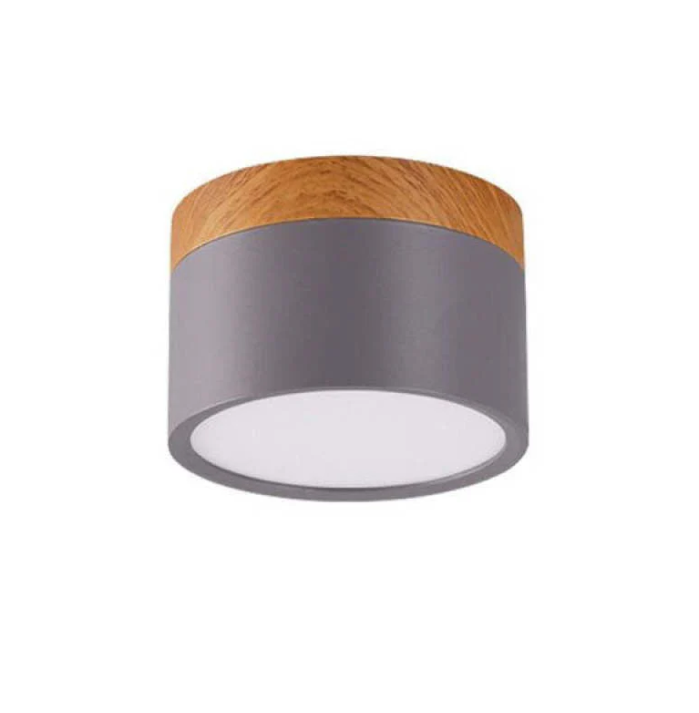 Morandi-inspired Modern LED Ceiling Lamp