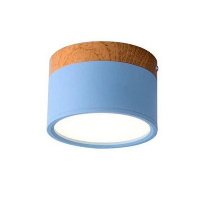 Morandi-inspired Modern LED Ceiling Lamp