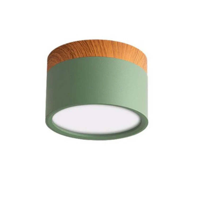 Morandi-inspired Modern LED Ceiling Lamp