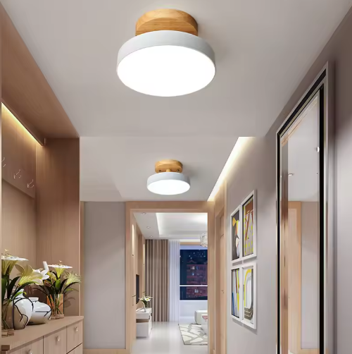 Nordic LED Ceiling Lamp