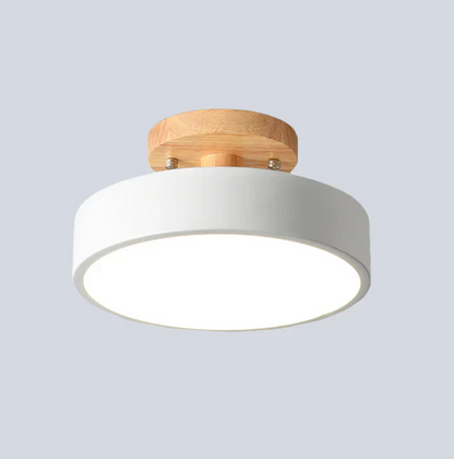 Nordic LED Ceiling Lamp