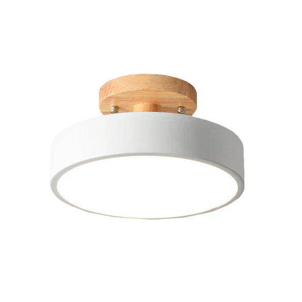Nordic LED Ceiling Lamp