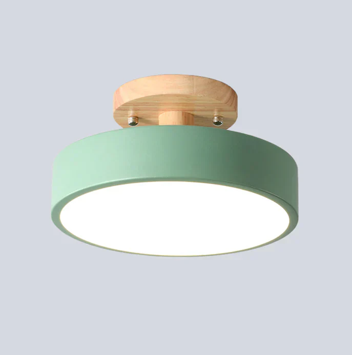 Nordic LED Ceiling Lamp