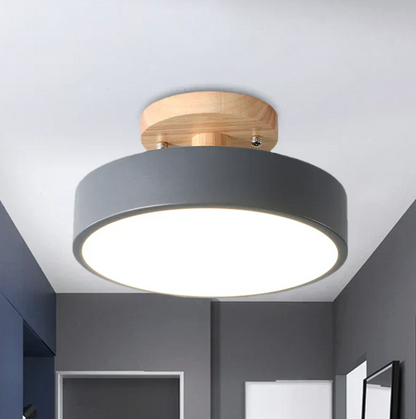 Nordic LED Ceiling Lamp