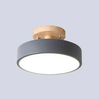 Nordic LED Ceiling Lamp