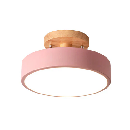 Nordic LED Ceiling Lamp