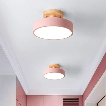 Nordic LED Ceiling Lamp