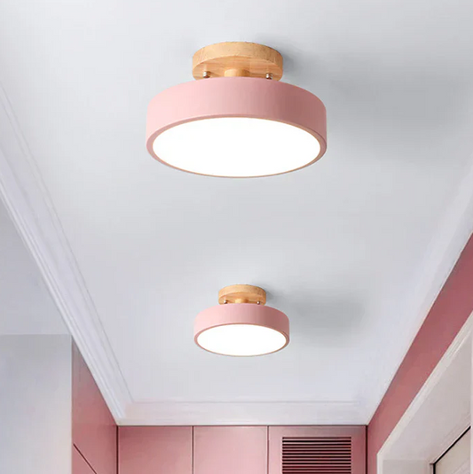 Nordic LED Ceiling Lamp