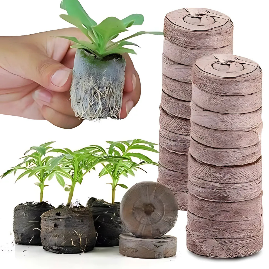 Coconut Fibre Peat Growing Pellets - Starter for Seed Planting