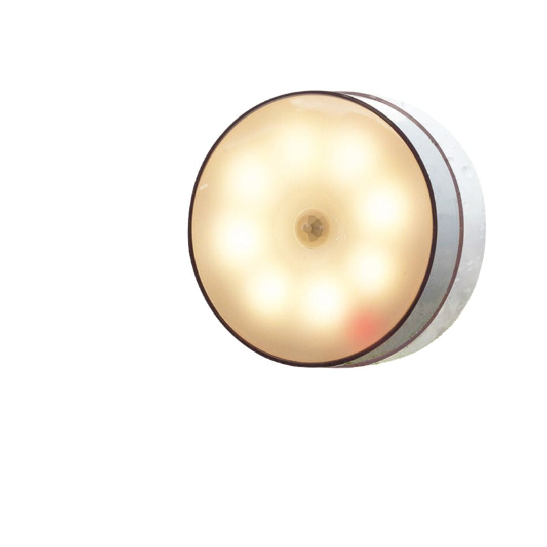 Intelligent Light With Motion Detection