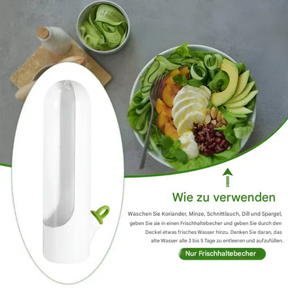 Airtight Herb Container For Longer Freshness And Space - Saving Storage