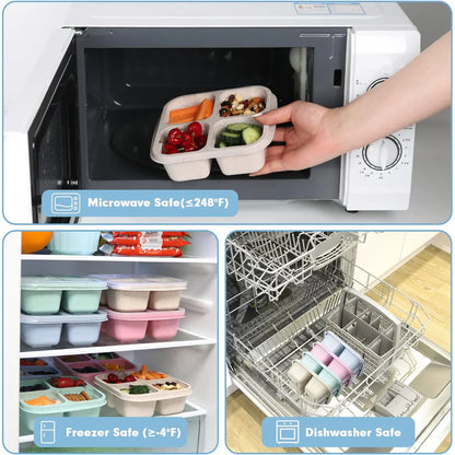Bento - Style 4 - Compartment Meal Prep Boxes in a 4 - Pack - Sustainable and Practical
