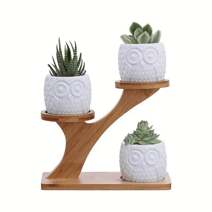 Decorative Wooden Plant Stand - Plant Pots in Owl Design for Succulents and Houseplants