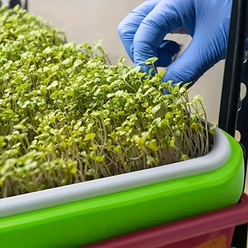 Germination Trays with Lid - Double - Layer Seed Tray for Effective Seed Germination