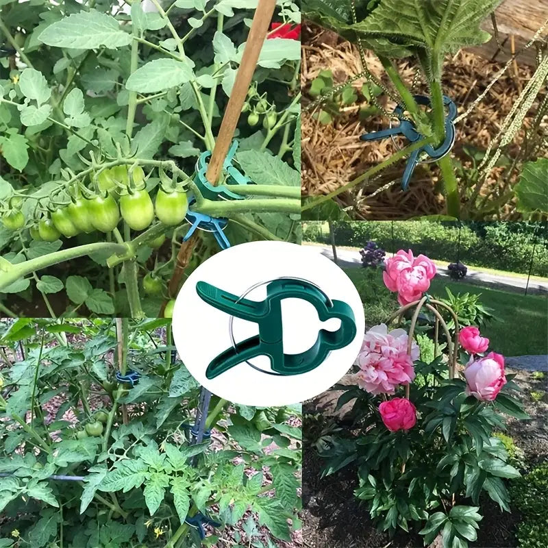 Garden Clip Set - Plant Loops for Plant Supports and Garden Maintenance