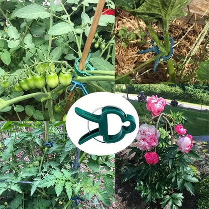 Garden Clip Set - Plant Loops for Plant Supports and Garden Maintenance
