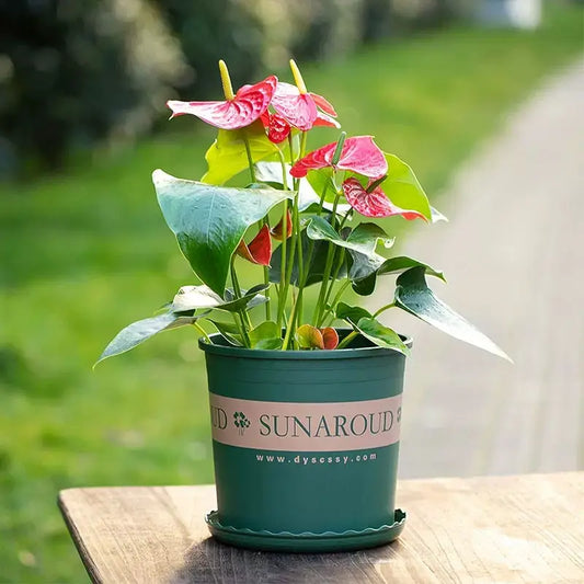 Robust Plastic Plant Pot - Weatherproof Flower Pot for Garden and Balcony