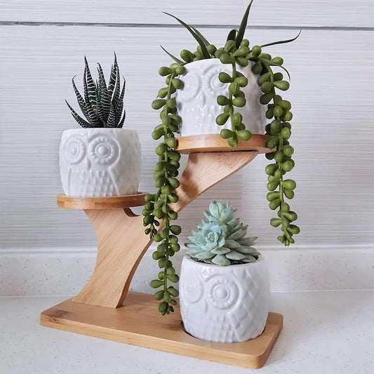 Decorative Wooden Plant Stand - Plant Pots in Owl Design for Succulents and Houseplants