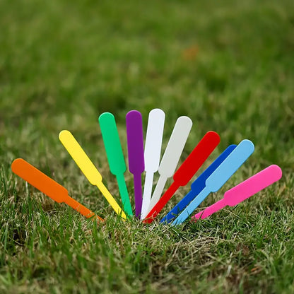 Coloured Plastic Plant Plugs - Weatherproof & Rewritable