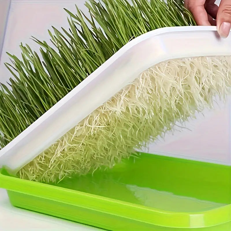 Germination Trays with Lid - Double - Layer Seed Tray for Effective Seed Germination
