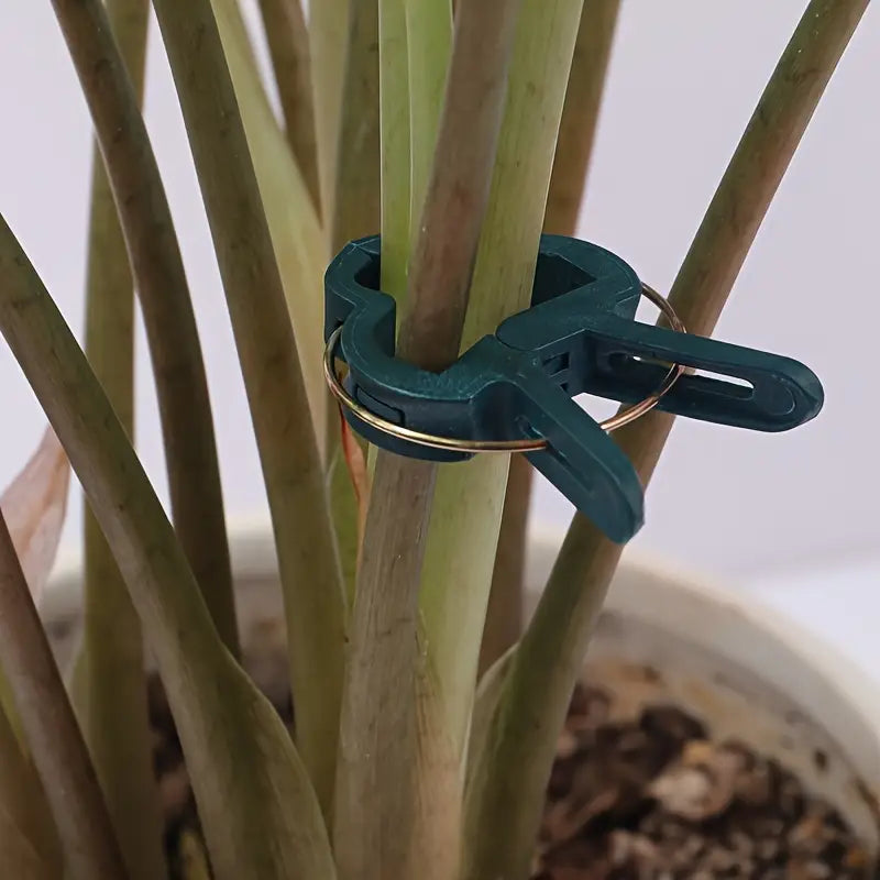 Garden Clip Set - Plant Loops for Plant Supports and Garden Maintenance