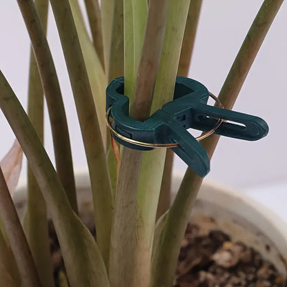 Garden Clip Set - Plant Loops for Plant Supports and Garden Maintenance