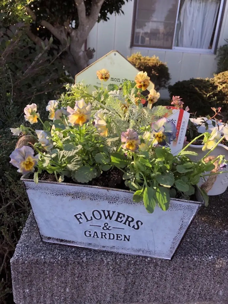 Decorative Metal Flower and Garden Container with Hemp Rope Handles