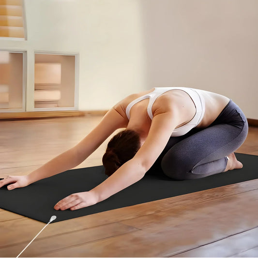 Grounding Mat Made of Carbon Leather for Electronic Devices and Health