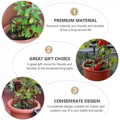 Climbing Support for Plants - Robust Support with Cage Design for Growth and Stability