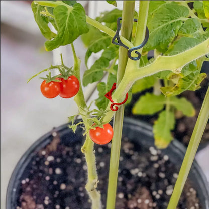 Cat - Shaped Plant Clip - Cute Plant Support for Garden and Houseplants