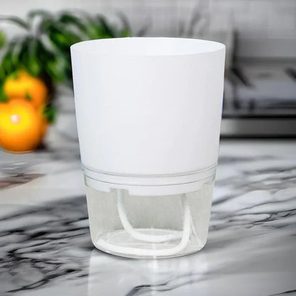 Automatic Watering Pot
