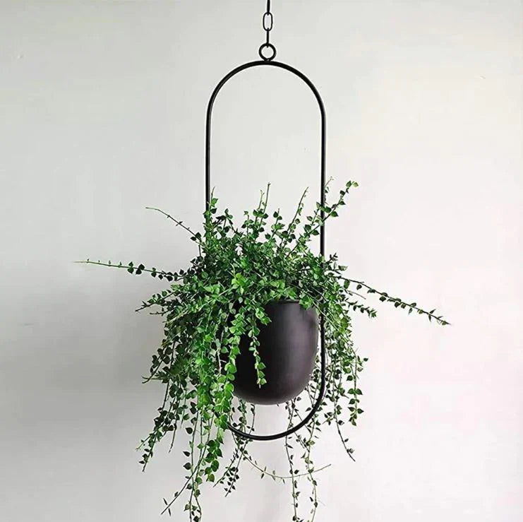 Elegant Plant Holder for Indoors and Outdoors